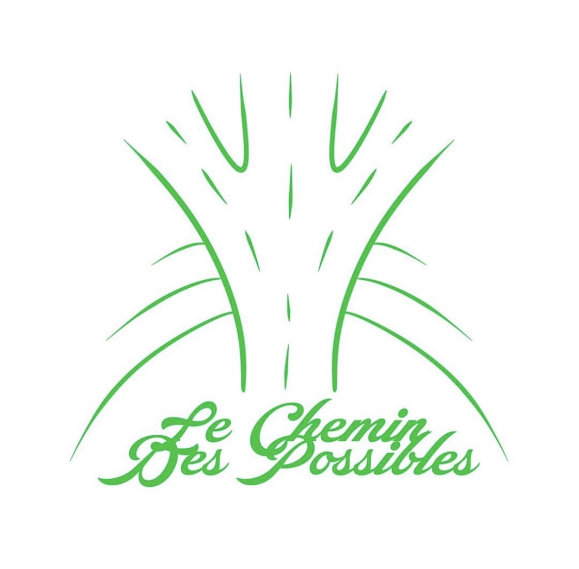 LE CHEMIN DES POSSIBLES